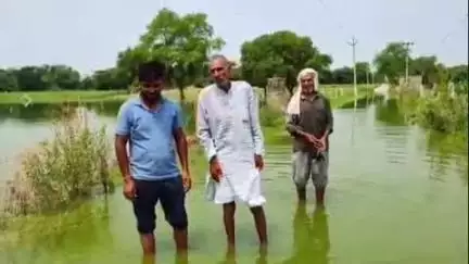 रेवाड़ी: रेवाड़ी: खलियावास गांव के खेतों में मसानी बैराज का दूषित पानी पहुंचने पर किसान यूनियन ने जताया विरोध