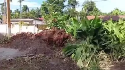 আলিপুরদুয়ার ২: যশোডাঙা ব্লক অফিসে পুরাতন গাছ কাটা নিয়ে BDO-র কাছে অভিযোগ জানালেন বাসিন্দা