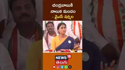 YS Sharmila Slams Super Six Super Flop | చంద్రబాబుకి నాలుక మందం | #shorts