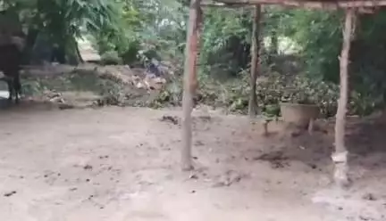 लालगंज: असाऊर टीकर गांव में किसान की खूंटे पर बंधी भैंस को चुरा ले गए चोर, किसान ने पुलिस से लगाई गुहार