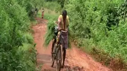 ଦେବଗଡ: କାଦୁଅରେ ଭର୍ତ୍ତି ତେରେଣ୍ଡାକଟାକୁ ସଂଯୋଗ କରୁଥିବା ରାସ୍ତା, ଉନ୍ନତିକରଣ ପାଇଁ ଲୋକଙ୍କ ଦାବି #jansamasya