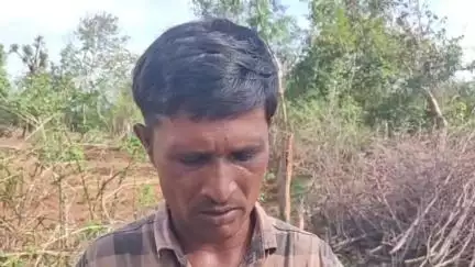 तालबेहट: बिगारी निवासी युवक ने ग्राम प्रधान पर लगाया गंभीर आरोप, पेंशन निकलवाने गए भाई का मिला शव, जांच में जुटी पुलिस