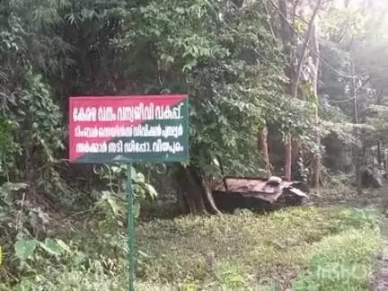 കാർത്തികപ്പള്ളി: വീടുകൾ അപകട ഭീഷണിയിൽ, വീയപുരത്ത് വനം വകുപ്പിന്റെ നദീതീരം സംരക്ഷിക്കണമെന്ന ആവശ്യം ശക്തം #localissue
