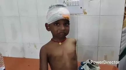 सोनारायठाढ़ी: ऑटो से करकट सड़क पर गिरने से मोटरसाइकिल चालक का बिगड़ा संतुलन, दलीरायडीह मोड़ के पास बच्चा सहित तीन घायल