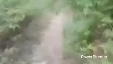 ओखलकांडा: हरीशताल के ग्रामीणों ने सीसी सड़क और पक्की सड़क बनाने की की मांग