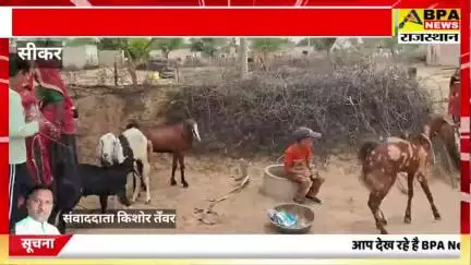 fatehpur block mai vaccination camp