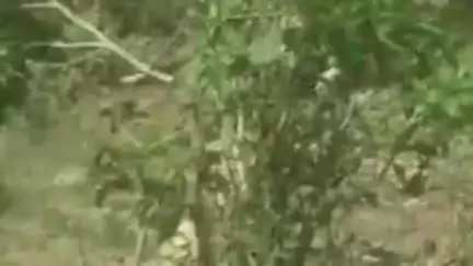 गैरतगंज: मंडीदीप में गोदर नदी किनारे मिली एक्सपायरी दवाएं, स्वास्थ्य विभाग ने एक हफ्ते से नहीं लिया एक्शन