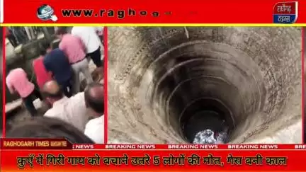 धरनावदा में कुएं में गिरी गाय को बचाने उतरे 5 लोगों की मौत #dharnawada #kuahadsa #raghogarhtimes