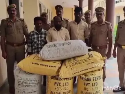 बरेली: बारादरी थाना प्रभारी की बड़ी कार्रवाई, 15 लाख रुपए के डोडा छिलका के साथ 3 तस्करों को किया गिरफ्तार