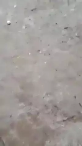 मांझी: दाउदपुर में सड़क किनारे बिजली पोल से निकल रहा है धुआं, लोगों में दहशत, वीडियो वायरल