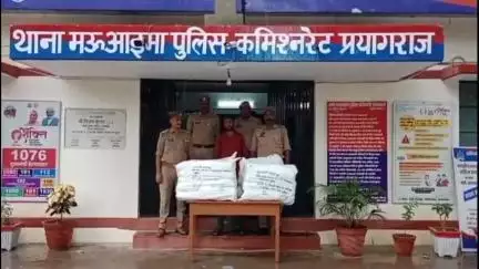 सोरांव: करीब 100 किलो अवैध गांजा के साथ अभियुक्त को गिरफ्तार कर पुलिस ने मामले का किया खुलासा