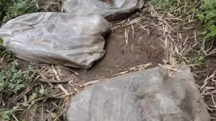 मोहाडी: नवरगाव येथे हातभट्टीच्या दारू अड्ड्यावर तुमसर पोलिसांची धाड, १४ हजार रुपयांचा मुद्देमाल जप्त
