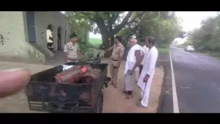 बड़ौत: बड़ौत-छपरौली मार्ग पर सड़क दुर्घटना में 1 युवती सहित 3 व्यक्ति गंभीर रूप से घायल, बाइक और रेहड़े की हुई भिड़ंत
