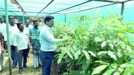 நன்னிலம்: நன்னிலத்தில் வளர்ச்சி திட்ட பணிகளை மாவட்ட ஆட்சியர் நேரில் ஆய்வு