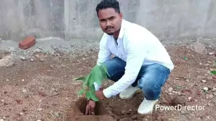 हर्रई: बटकाखापा में 'एक पेड़ मां के नाम' अभियान के तहत सरपंच व जनप्रतिनिधियों ने किया पौधारोपण