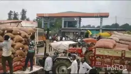शाजापुर: शाजापुर कृषि उपज मंडी में प्याज के दाम स्थिर, लहसुन के दाम में हुआ इजाफा