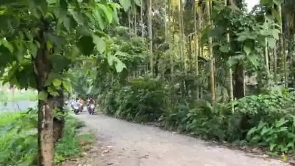 দিনহাটা ২: বুড়িরহাটে তৃণমূলের বাইক সহযোগে বিজয় মিছিল