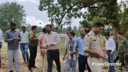 नैनपुर: वन समिति के सहयोग से विभिन्न प्रजाति के बीजों का संग्रह कर निर्मित किए गए "सीट बॉल"