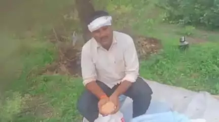 अकोला: बोगस सोयाबीन बियाण्याचे वितरण; चौकशीची करून बोगस बियाणे विक्री वर कारवाईची आलेगाव येथील शेतकऱ्याची मागणी