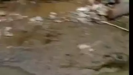देवास: ग्राम भड़ा पिपलिया में सड़क और नाली की समस्या से जूझ रहे हैं ग्रामीण #jansamasya