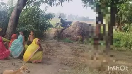 तिर्वा: बैसापुर पट्टी गांव में आम के पेड़ पर फांसी के फंदे पर लटका मिला युवक का शव