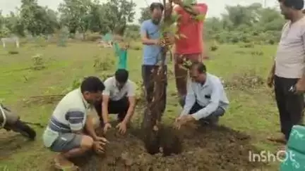 बमोरी: बमोरी कब्रिस्तान में मुस्लिम समाज के युवाओं ने किया वृक्षारोपण, रखरखाव का लिया संकल्प