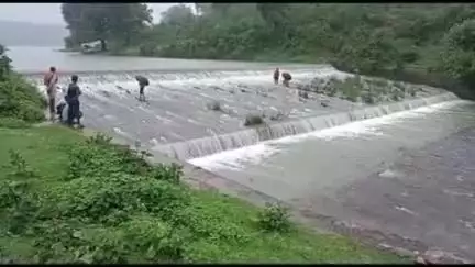 पाली: ग्राम बंट स्थित तालाब की सरपट पर पानी के तेज बहाव के बीच लोग जान जोखिम में डालकर मछलियों का कर रहे शिकार, वीडियो वायरल
