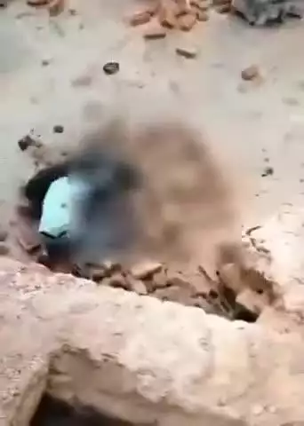 यूपी लखीमपुर की धौरहरा तहसील के ग्राम बबुरी में एक ईंट भट्टे में पहुंचे तेंदुआ से भिड़ा एक युवक
युवक काफी देर तक तेंदुए