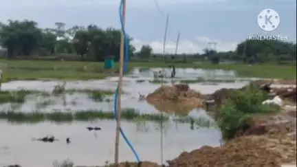 আমগুৰি: বৰাহীবাৰী চাংমাই গাঁ‌ৱত নিৰ্মাণ কৰা পকী দলঙৰ কাম সম্পূৰ্ণ নোহোৱাত বানৰ কবলত পৰা ৰাইজৰ হাহাকাৰ পৰিস্থিতি #jansamasya