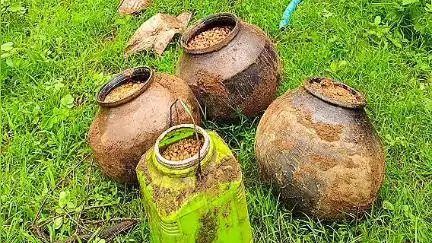 लांजी: अवैध शराब के विरुद्ध बालाघाट आबकारी विभाग की छापामार कार्रवाई, मोहझरी में महुआ लाहन और सामग्री जब्त