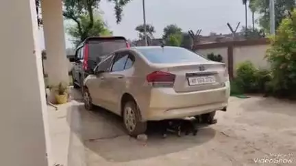 सूर्यपुरा: ढोढोनडीह गांव के समीप पुलिस ने दो चार पहिया वाहन किया जब्त