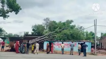 खनियाधाना: ग्राम हषरा में तेज आंधी-तूफान से गोपाल आदिवासी के मकान पर गिरा पीपल का पेड़, टली बड़ी दुर्घटना