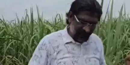 उत्तर सोलापूर: प्रहार जनशक्ती पक्षाच्यावतीने शेतामध्ये फोटोला आग लावून कृषिमंत्री माणिकराव कोकाटे यांचा निषेध: शहराध्यक्ष अजित कुलकर्णी