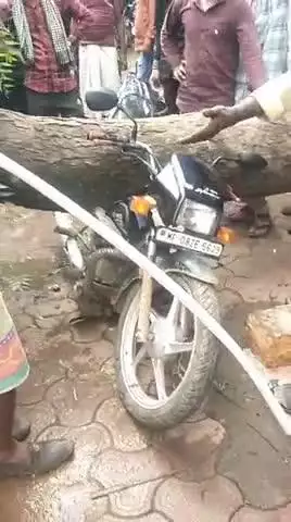 गुना जिले के राघोगढ़ के बडा आमल्या में नीम का पेड़ मोटरसाइकिल पर गिरा गनीमत रही जन हानि नही हुई