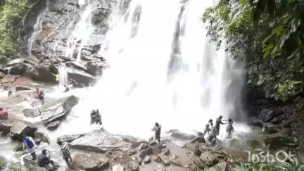 ಶೃಂಗೇರಿ: ಕಾಫಿ ನಾಡಿನ ಜಲಪಾತದ ರಾಣಿ ಸಿರಿಮನೆ ಝರಿಗೆ ಮತ್ತೆ ಜಲ ವೈಭವ..!!