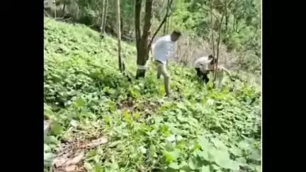 हवेली: दिवे घाटात दरीत पडलेल्या ७० वर्षीय वारकरी आजोबांना तरुणांनी वाचविले