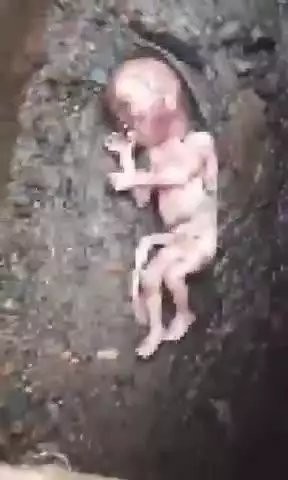 बड़ागांव धसान: बुड़ेरा: नाली में मिला नवजात का शव, मां की तलाश के लिए पुलिस ने मुखबिरों को किया सक्रिय