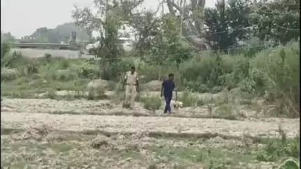 पचरुखी: पचरुखी हरिजन बस्ती में संदिग्ध परिस्थिति में युवक की हत्या, डॉग स्क्वायड टीम ने की जाँच