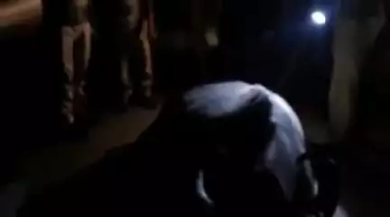 बंजरिया: दरोगा टोला के पास एनएच पर मंगलवार को अनियंत्रित बोलेरो चालक ने भैंस को मारी टक्कर, बाल-बाल बचा चालक