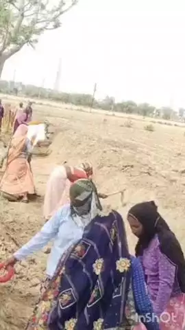 नगर: हरियालो राजस्थान अभियान के तहत नरेगा मजदूरों को पर्यावरण के लिए अधिक से अधिक पेड़ लगाने के लिए किया जागरूक