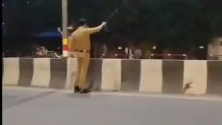 नवाबगंज: पटेल तिराहे पर चाइनीज मांझा सड़क पर गिरा, दो पुलिसकर्मियों ने तुरंत हटाया, कई लोगों की जान बचाई