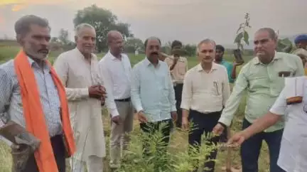 देवसर: ग्राम गड़हरा में पौधारोपण कार्यक्रम आयोजित, विधायक देवसर रहे उपस्थित