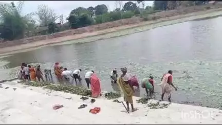 बिछिया: जल गंगा अभियान: राता ग्राम में तालाब का कायाकल्प, एसडीएम सोनाली देव के मार्गदर्शन में जल संवर्धन