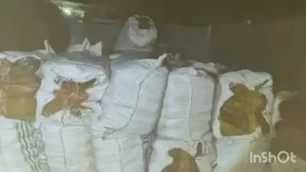 झंझारपुर: झंझारपुर पुलिस ने 2160 लीटर नेपाली देसी शराब और एक चार चक्का वाहन किया जब्त