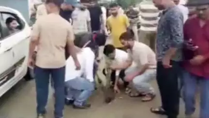डोईवाला: नकरौंदा, बालावाला में बदहाल सड़क से जनता परेशान, बीच सड़क पौधे लगातार जताया विरोध #jansamasya
