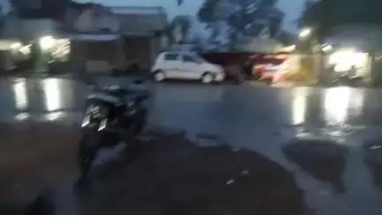 दमोह: सर्पदंश की घटनाओं को रोकने के लिए कलेक्टर ने सावधानी बरतने की अपील की, खेत-खलिहानों में बरतें सावधानी