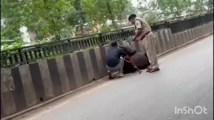 दुर्ग: जिले में गौ माता की सुरक्षा एवं सड़क दुर्घटनाओं को रोकने के लिए गाय के गले में यातायात पुलिस ने लगाया रेडियम