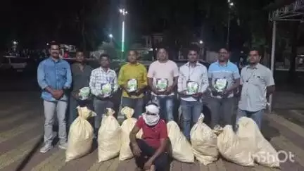 यवतमाळ: महागाव कसबा येथे बोगस बियाण्याची विक्री करणाऱ्यावर स्थानिक गुन्हे शाखा पथकाची कारवाई