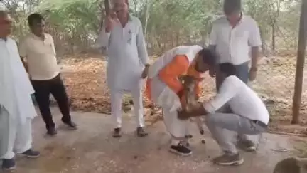 पवई: राज्य पिछड़ा वर्ग आयोग के अध्यक्ष रामकृष्ण कुशमारिया ने पन्ना गौशाला में की गायों की पूजा-अर्चना