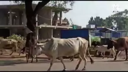 कारंजा: नवीन धाबा येथे क्षुल्लक कारणावरून काठीने मारहाण करून केले जखमी, आरोपीवर गुन्हा दाखल